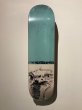 画像1: THE HEATED WHEEL Ostrich 8'5 (1)