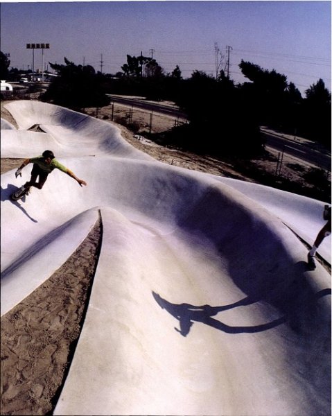 画像5: The Legacy of Warren Bolster Master of Skateboard Photography (5)